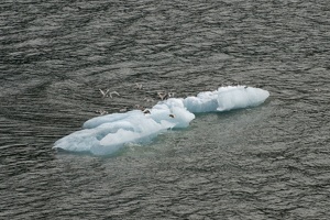 315-9172 Iceberg